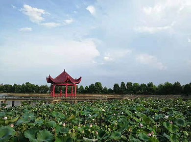 武汉归元公墓买一块墓地最少需要多少钱