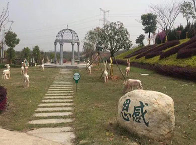 武汉九龙宫公墓有哪些墓地可供选择（价格 环境 地址）