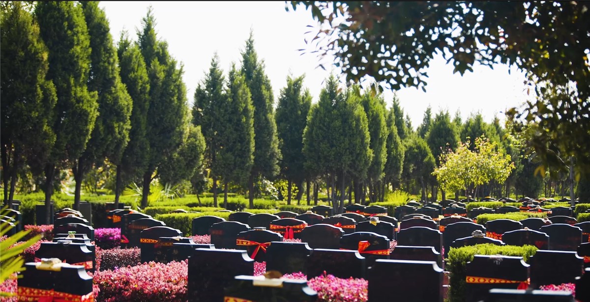 汉口武汉陵园现在的墓地价格是多少？