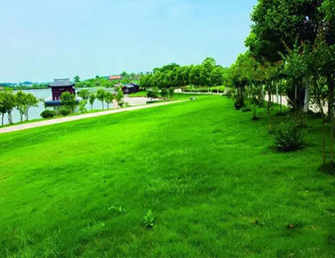 武汉长乐园墓地购买墓地新政策对墓地价格有没有影响