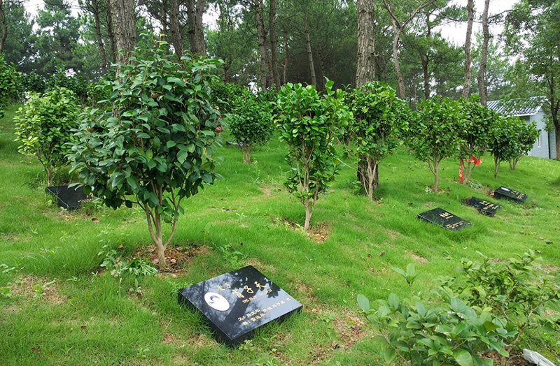 长乐园陵园墓园在哪里？墓地价格区间是多少？