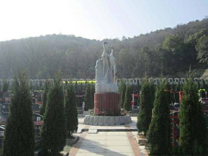 九峰陵园墓地参考售价中有哪些福位值得实地考察？