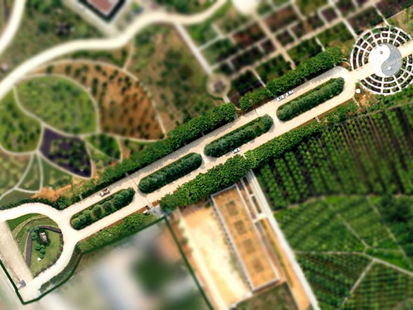 了解下武汉陵园2025年墓地价格一览表