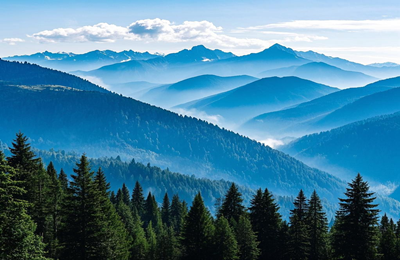 汉口白事纠纷处理服务费用咨询热线-遗体接运-火化流程