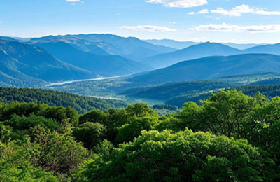 汉阳白事司仪服务收费标准咨询电话-墓地选购-免费咨询