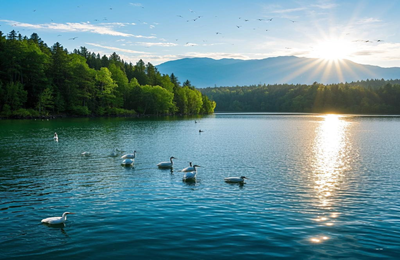 武昌殡仪后事全程代办费用表服务电话-灵堂搭建-寿衣灵棚