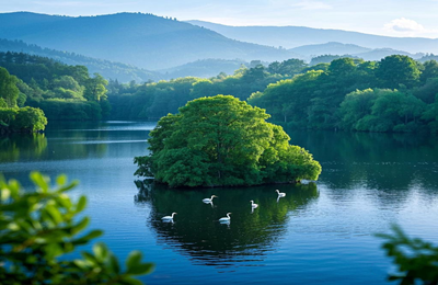 汉阳白事清明代祭服务收费咨询电话-武汉殡仪服务