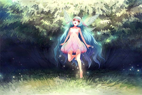 梦见精灵